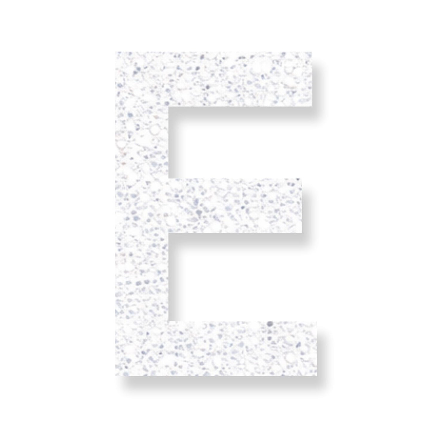 Preformed Thermoplastic Single Letter 4"