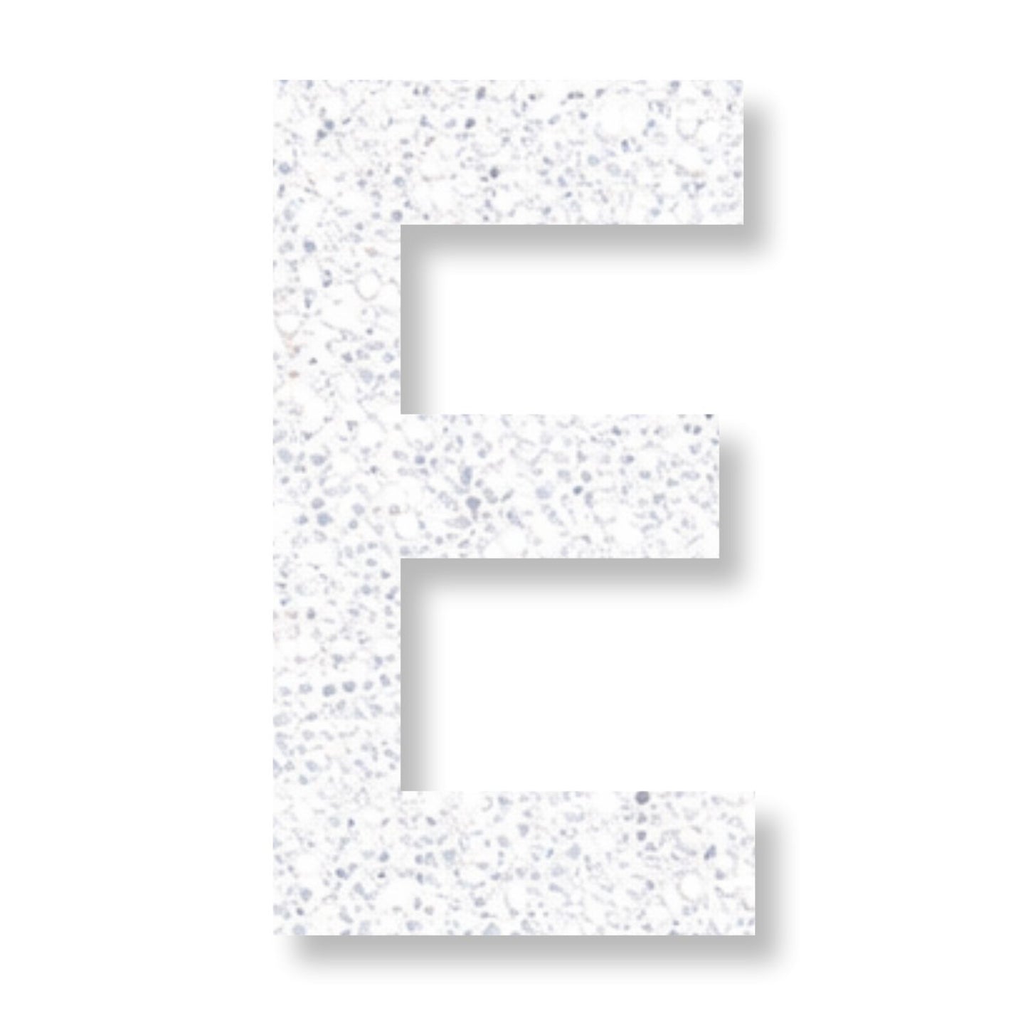 Preformed Thermoplastic Single Letter 24"