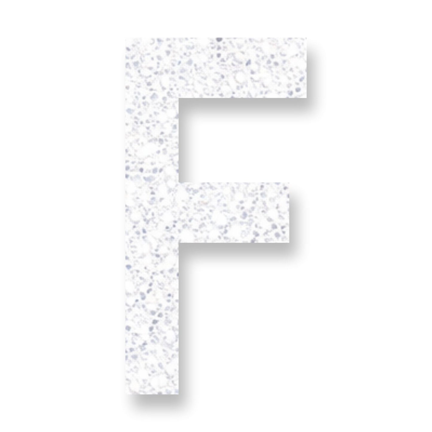 Preformed Thermoplastic Single Letter 24"