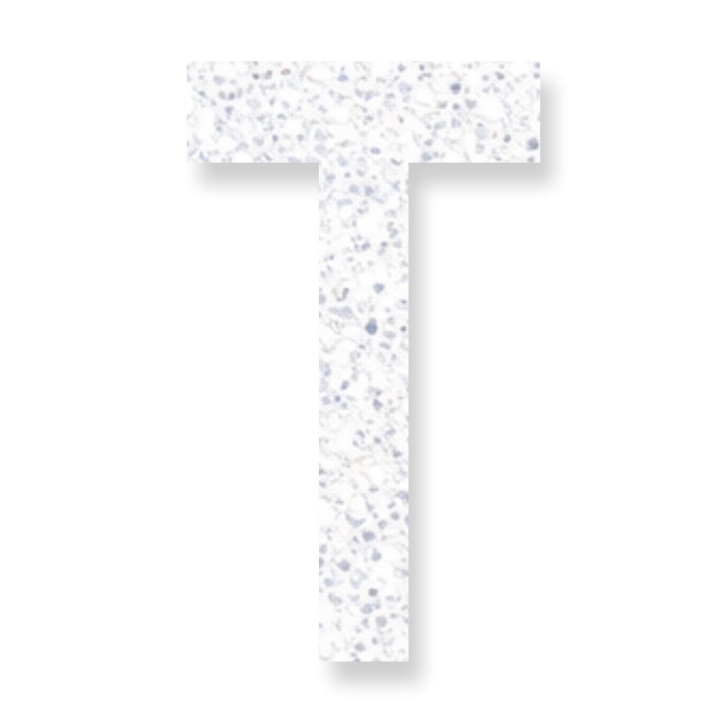 Preformed Thermoplastic Single Letter 18"