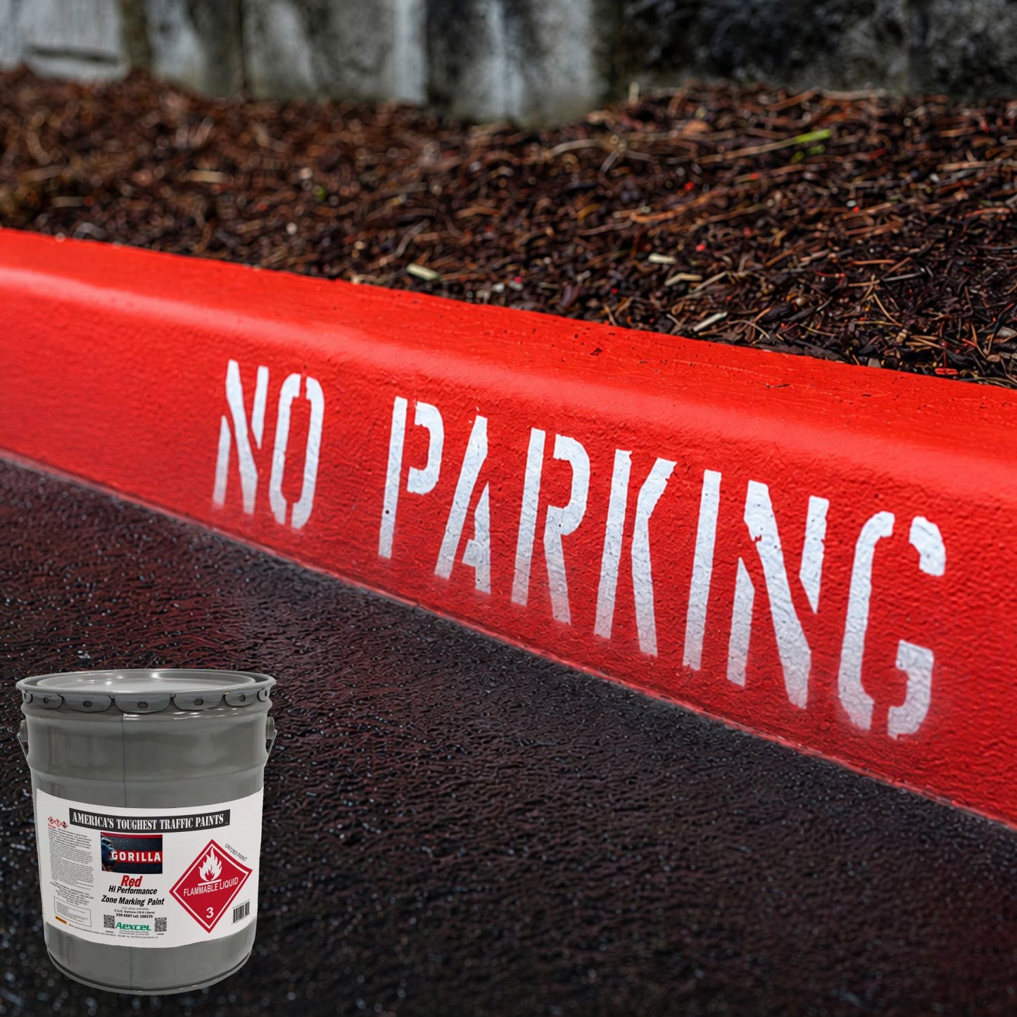 Red curb with white “NO PARKING” stencil lettering, marked using Aexcel Gorilla Traffic Marking Paint for durable, high-visibility fire lane and parking restriction zones.